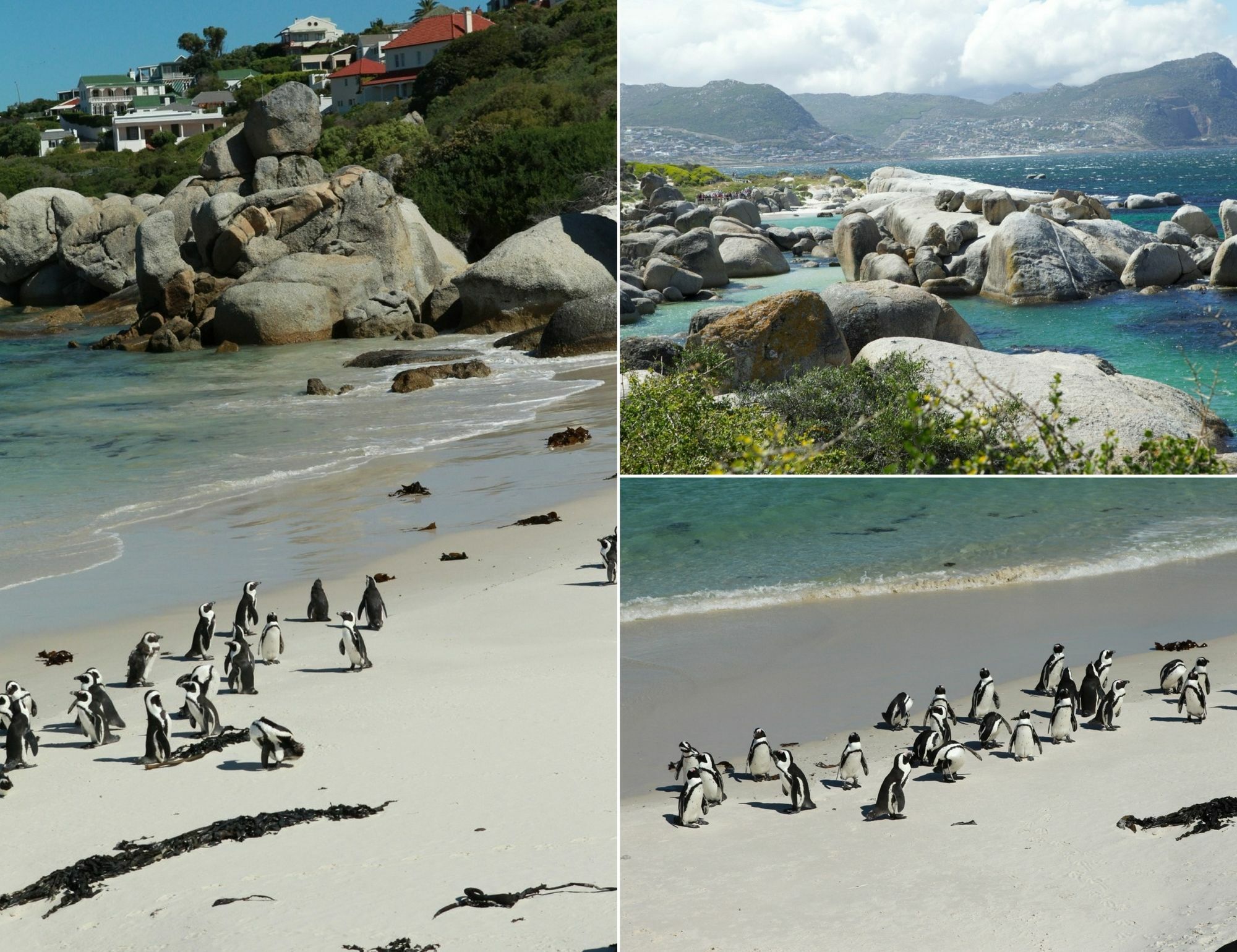 Mariner Guesthouse & Villa Simonʼs Town Exteriér fotografie